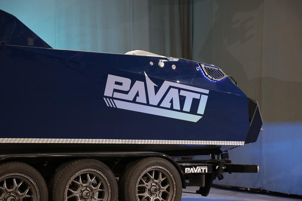 2020 AL26 #71 1 of 3 Painted Pavati’s!